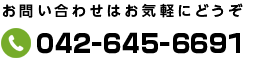 電話番号: 0426-45-6691