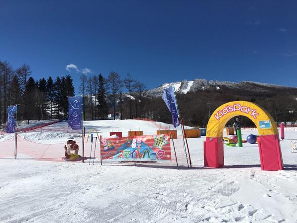 菅平高原パインビーク大松ゲレンデ